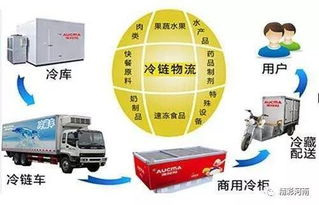 河南明年将实现农村电商物流服务站点达万个，新鲜农产品直供到家